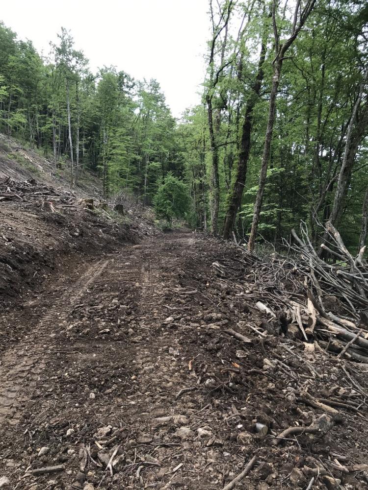 Aménagement de piste forestière à Izenave
