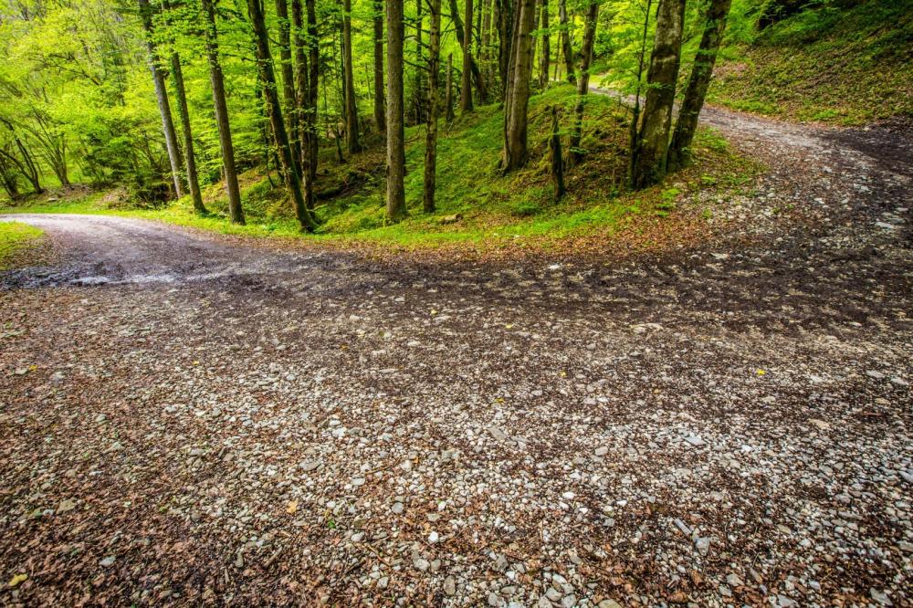 Création de pistes forestières à Izenave